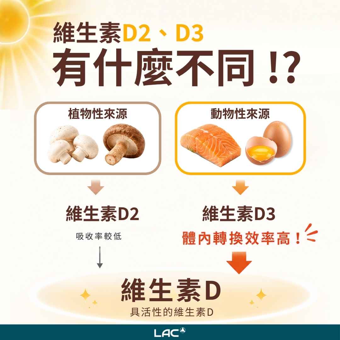 維生素D2與D3來源示意圖 - LAC 保健領導品牌